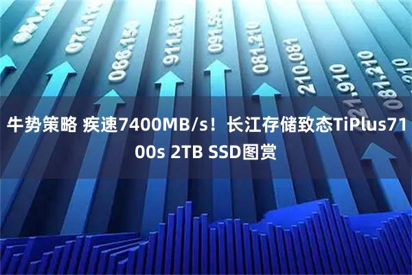牛势策略 疾速7400MB/s！长江存储致态TiPlus7100s 2TB SSD图赏