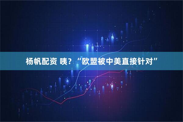 杨帆配资 咦？“欧盟被中美直接针对”